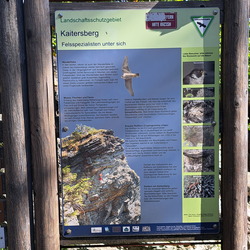 Herbstwanderung im Arbergebiet und Rauchröhren 2026